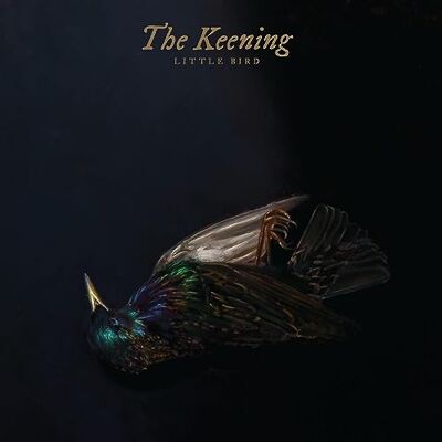 Relapse Records Little Bird Relapse Records Little Bird