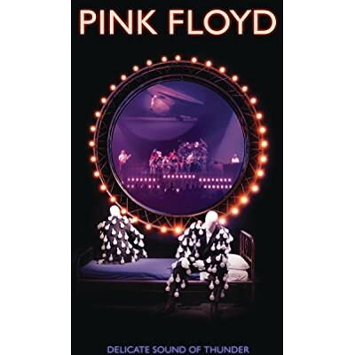 Pink Floyd Delicate Sound Of Thunder Pink Floyd Delicate Sound Of Thunder