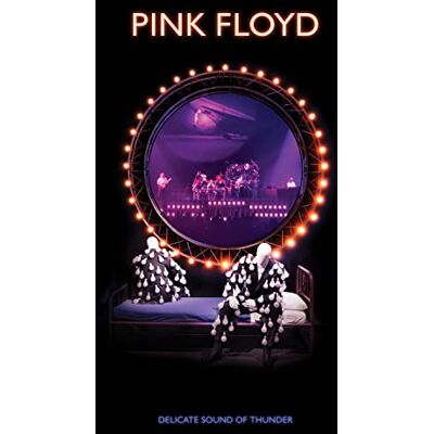 Pink Floyd Delicate Sound Of Thunder Pink Floyd Delicate Sound Of Thunder