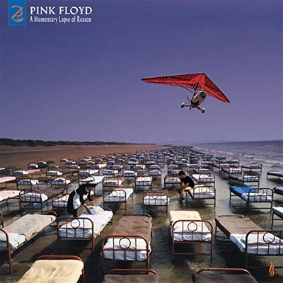 Pink Floyd Momentary Lapse Of Reason Pink Floyd Momentary Lapse Of Reason