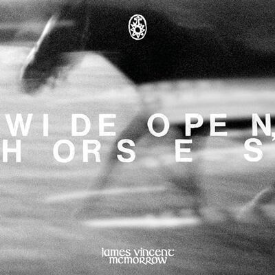 Vincent Wide open, horses Vincent Wide open, horses