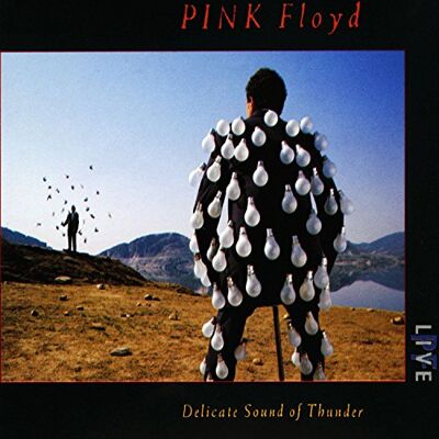 Pink Floyd Delicate Sound of Thunder Pink Floyd Delicate Sound of Thunder