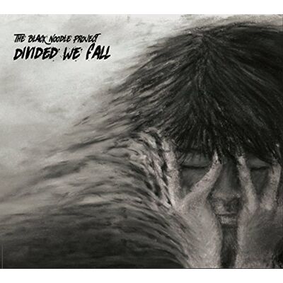 Pro-Ject Divided We Fall Pro-Ject Divided We Fall