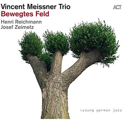 Vincent Bewegtes Feld Vincent Bewegtes Feld