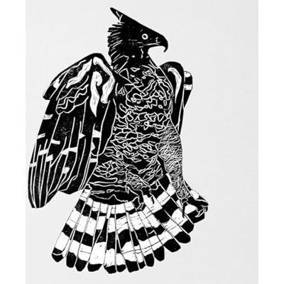 Alpha Crowned Eagle Alpha Crowned Eagle