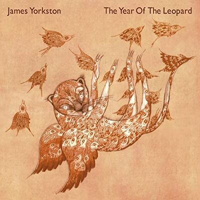 Domino Year Of The Leopard Domino Year Of The Leopard