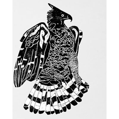 Alpha Crowned Eagle Alpha Crowned Eagle