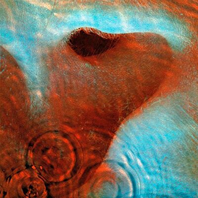 Pink Floyd Meddle Pink Floyd Meddle