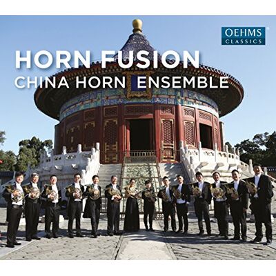 Ensemble Horn Fusion Ensemble Horn Fusion