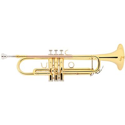 Classic Cantabile TR-30L Tromba in Sib, Tromba jazz Modello: TR-30L, Intonazione: Sib, 3 pistoni in Monel, Diametro campana: 123 mm, Foro: 11, 65 mm, Corpo: ottone, 1 x Bocchino Classic Cantabile TR-30L Tromba in Sib, Tromba jazz Modello: TR-30L, Intonazione: Sib, 3 pistoni in Monel, Diametro campana: 123 mm, Foro: 11, 65 mm, Corpo: ottone, 1 x Bocchino