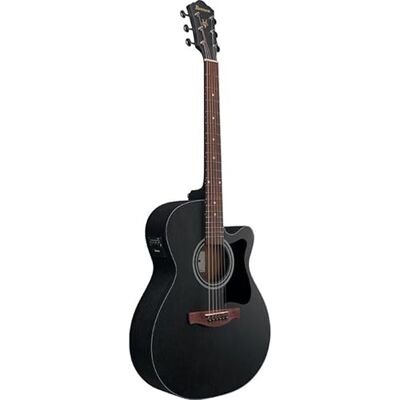 Ibanez Acoustic Guitar / Ibanez Acoustic Guitar /