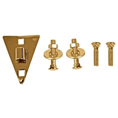 Latin Percussion LP Piastra laterale Conga Music Collection LPMC, oro Latin Percussion LP Piastra laterale Conga Music Collection LPMC, oro