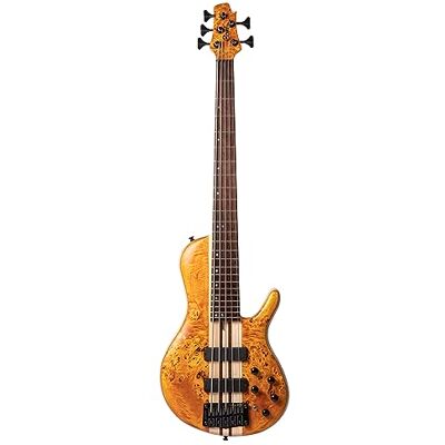 Cort A5 Plus SC (Regular Scale) Cort A5 Plus SC (Regular Scale)