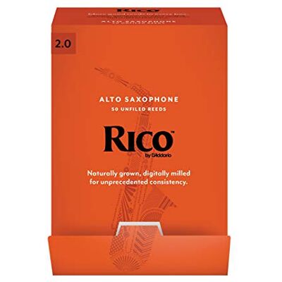 D'Addario Rico Saxophone Reeds Ance per sassofono contralto Alto Sax Reeds 2 forza, 50-Pack D'Addario Rico Saxophone Reeds Ance per sassofono contralto Alto Sax Reeds 2 forza, 50-Pack