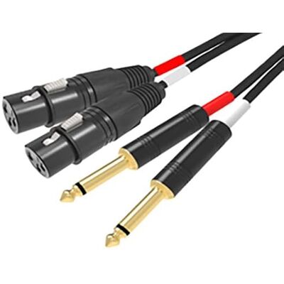RIDEM Cavo 2 x XLR F / 2 x 6,3mm 3mt RIDEM Cavo 2 x XLR F / 2 x 6,3mm 3mt