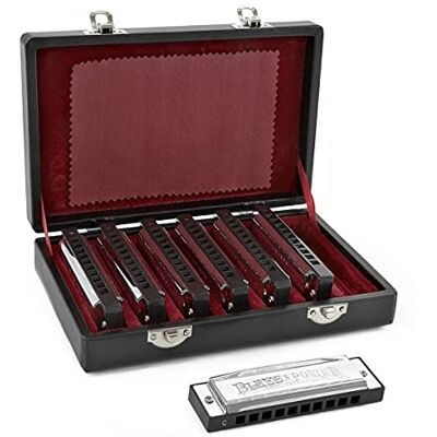 gear4music Set di 7 Armoniche Blues Diatoniche – Armonica Argentate con Custodia Set di 7 Armoniche per Principianti nelle Tonalità La, Sib, Do, Re, Mi, Fa e Sol, Costruzione con Ancia Metallica gear4music Set di 7 Armoniche Blues Diatoniche – Armonica Argentate con Custodia Set di 7 Armoniche per Principianti nelle Tonalità La, Sib, Do, Re, Mi, Fa e Sol, Costruzione con Ancia Metallica