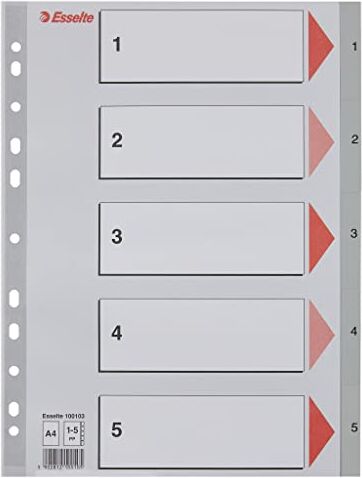 Esselte Mylar Divisori formato A4, sezioni 1-5, multicolore 1-5