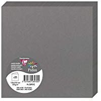 Clairefontaine Pacco da 25 biglietti Piegati Formato Quadrato 13,5x13,5cm 210g/m² Colore Grigio acciaio Biglietti d'invito e Corrispondenza Gamma Pollen Carta Premium Liscia