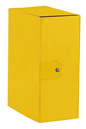 Esselte C35 EUROBOX Cartella per Progetti, 25 x 35 cm, Dorso 15 cm, Giallo, Confezione da 1, 390335090