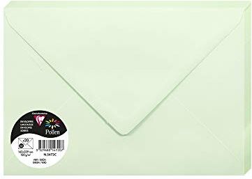 Clairefontaine Pacco da 20 Buste gommate Formato C5 16,2x22,9cm 120g/m² Colore verde -Inviti Eventi e Corrispondenza Gamma Pollen Carta Premium Liscia