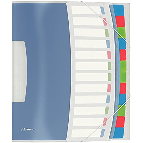 Esselte Libro monitore, Formato A4, 12 scomparti indicizzati, Chiusura a elastico, Polipropilene, Traslucido, VIVIDA