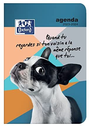 Oxford Funny Pets Agenda Scolastica giornaliera 2017 – 2018 1 giorno per pagina 352 pagine 12 x 18 cm Gattino