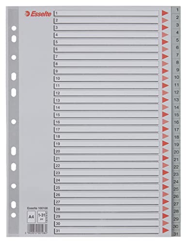 Esselte Rubrica con Tasti 1-31, Formato A4, Formato Extra Largo, Grigio, Divisori in Polipropilene Robusto con Pagina Indice,