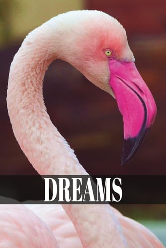 ART Pink Flamingo Journal Notebook Diary 6" x 9" Paperback 200 Lined Pages: Flamingo Theme (Flamingo Books To Write In)
