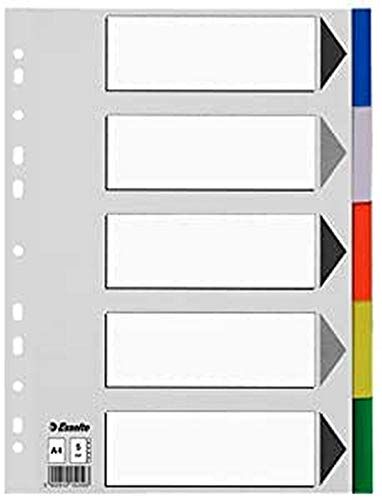 Esselte 11709 Divisori in plastica, formato A4, 5 posizioni