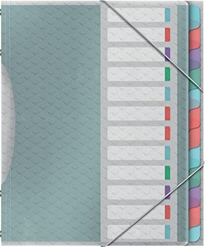 Esselte Quaderno con 12 Divisori in Formato A4 Realizzato in Carta Priva di Acidi e in Plastica Trasparente, Utilizzabile a Casa e in Ufficio, Gamma Colour'Breeze, Motivo in Rilievo Multicolore