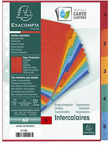 Exacompta Divisori e Segnaletica, 29x21 cm, Multicolore