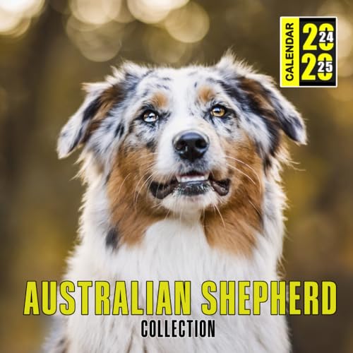 Stanley Australian Shepherd Collection Calendar 2024-2025: 24 Month Planner To Keep You On Track. Australian Shepherd Collection Calendar 2024-2025. Perfect ... 12 month 2025. Kalendar Calendario Calendrier