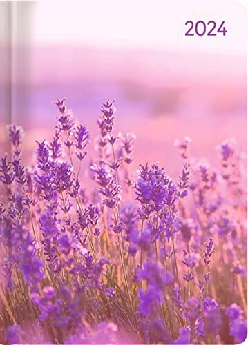 Alpha Agenda Settimanale Ladytimer 2024, formato tascabile 10,7x15,2 cm, LAVANDA, 192 pagine