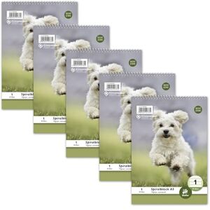 Staufen Style Blocco spiralato LIN 1-5 blocchi da 40 fogli ciascuno, DIN A5, 70 g/m², foderato (5/5/5 mm) Staufen Style Blocco spiralato LIN 1-5 blocchi da 40 fogli ciascuno, DIN A5, 70 g/m², foderato (5/5/5 mm)