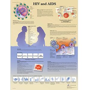 3B Scientific Anatomia umana Grafico HIV e AIDS, Versione cartacea 3B Scientific Anatomia umana Grafico HIV e AIDS, Versione cartacea