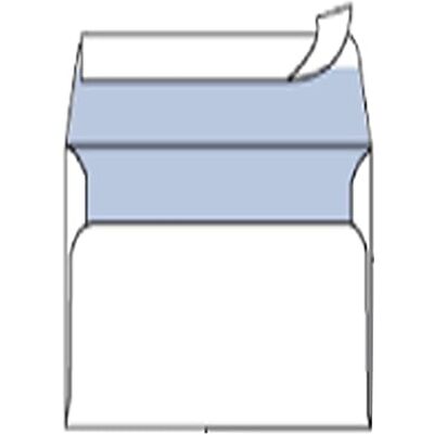 Blasetti CF25 BUSTE STRIP 12X18CM Blasetti CF25 BUSTE STRIP 12X18CM