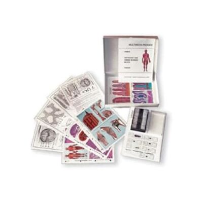 3B Scientific Multimedia Student Set Protozoa Basic Confezione da 8 articoli 3B Scientific Multimedia Student Set Protozoa Basic Confezione da 8 articoli