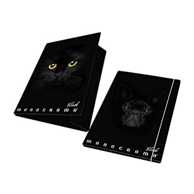 Pigna , Cartella portadocumenti con elastico MONOCROMO BLACK, dorso 1,2, formato 26x35,5 cm., pacco da 6 pezzi Pigna , Cartella portadocumenti con elastico MONOCROMO BLACK, dorso 1,2, formato 26x35,5 cm., pacco da 6 pezzi