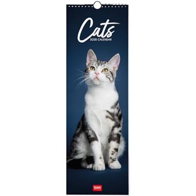 Legami Calendario da Parete 2025, Calendario da Muro 16 x 49 Cm, 12 Mesi e Planner Annuale 2026, Spazio per Note e Appunti, 6 Lingue, Segni zodiacali e Festività internazionali, Cats Legami Calendario da Parete 2025, Calendario da Muro 16 x 49 Cm, 12 Mesi e Planner Annuale 2026, Spazio per Note e Appunti, 6 Lingue, Segni zodiacali e Festività internazionali, Cats
