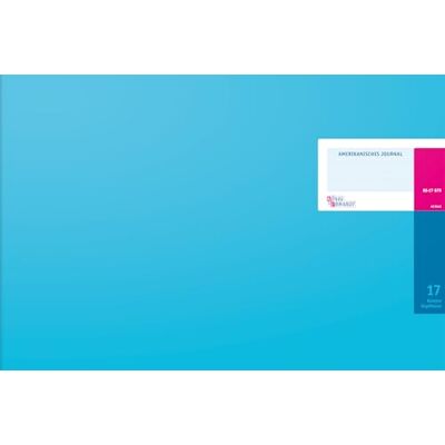 BRUNNEN Konig & Ebhardt -8317K48KL Quaderno di contabilità per prima nota, 48 pagine, 490 x 332 mm, colore: blu chiaro BRUNNEN Konig & Ebhardt -8317K48KL Quaderno di contabilità per prima nota, 48 pagine, 490 x 332 mm, colore: blu chiaro
