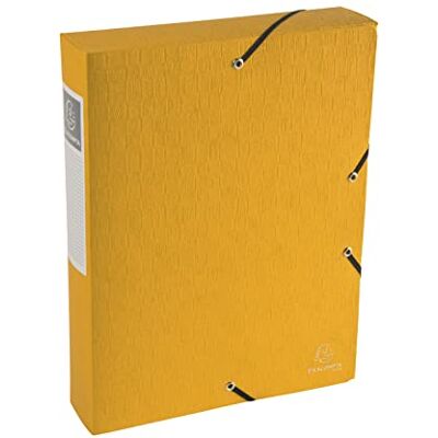 Exacompta Scatole Archivio, 24x32 cm, Multicolore Exacompta Scatole Archivio, 24x32 cm, Multicolore