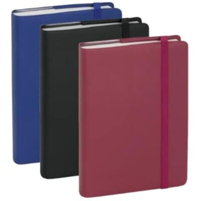 Exacompta 15416E Agenda giornaliera in plastica, 9 x 14,5 cm, da gennaio a dicembre 2021, colori assortiti Exacompta 15416E Agenda giornaliera in plastica, 9 x 14,5 cm, da gennaio a dicembre 2021, colori assortiti