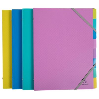 Exacompta Rif. 56190E Cartone da 8 raccoglitori Forever Young 3 alette con elastici copertina e interno in polipropilene riciclato 8 scomparti dim 25 x 32 cm per formato A4 assortiti Exacompta Rif. 56190E Cartone da 8 raccoglitori Forever Young 3 alette con elastici copertina e interno in polipropilene riciclato 8 scomparti dim 25 x 32 cm per formato A4 assortiti