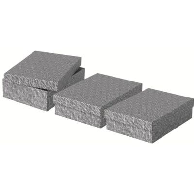 Esselte Set di 3 Contenitori Medi con Coperchio in Cartone Riciclato e Riciclabile al 100%, Ottimali per lo Stoccaggio o come Confezione Regalo, Design Geometrico, 265 mm x 100 mm x 360 mm, Grigio Esselte Set di 3 Contenitori Medi con Coperchio in Cartone Riciclato e Riciclabile al 100%, Ottimali per lo Stoccaggio o come Confezione Regalo, Design Geometrico, 265 mm x 100 mm x 360 mm, Grigio