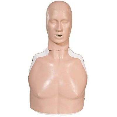 3B Scientific Simulatore per Supporto di Base Alle Funzioni Vitali “Basic Billy”,.Pelle Chiara 3B Scientific Simulatore per Supporto di Base Alle Funzioni Vitali “Basic Billy”,.Pelle Chiara