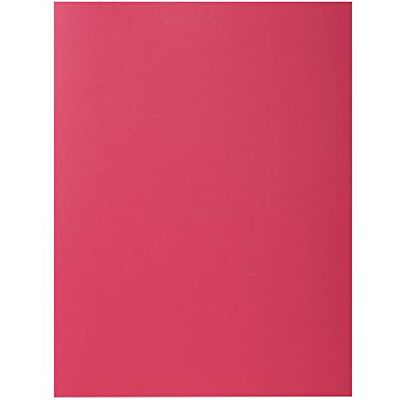 EXACOMPTA Cartelle Semplici, 24x32 cm, Ribes EXACOMPTA Cartelle Semplici, 24x32 cm, Ribes