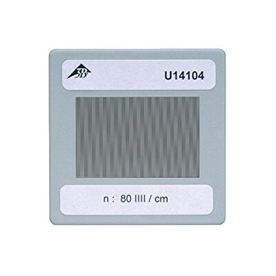 3B Scientific U14104 Reticolo Inciso 3B Scientific U14104 Reticolo Inciso