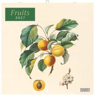 DUMONT Fruits 2027: Wandkalender 30x30 cm (30x60 cm geöffnet) mit Notizkalendarium und 12 historischen Obst-Illustrationen von Pierre Antoine Poiteau DUMONT Fruits 2027: Wandkalender 30x30 cm (30x60 cm geöffnet) mit Notizkalendarium und 12 historischen Obst-Illustrationen von Pierre Antoine Poiteau