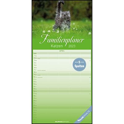 Alpha Gatti 2023 Agenda familiare, timer familiare, calendario per bambini, 22 x 45 cm Alpha Gatti 2023 Agenda familiare, timer familiare, calendario per bambini, 22 x 45 cm