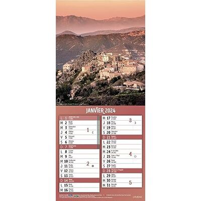 Exacompta Calendario mensile con fogli mensili staccabili 15,5 x 28,5 cm Su supporto piastra stampata Ginkgo 19 x 41 cm 2024 Colori assortiti Exacompta Calendario mensile con fogli mensili staccabili 15,5 x 28,5 cm Su supporto piastra stampata Ginkgo 19 x 41 cm 2024 Colori assortiti